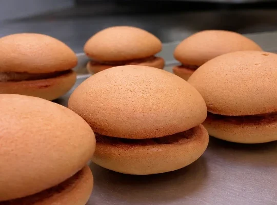 Chocolate-filled sponge sandwiches close-up